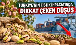 Türkiye’nin fıstık ihracatında dikkat çeken düşüş