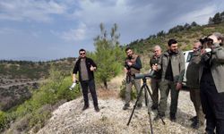 İslahiye’de Geyik Popülasyonu İçin Envanter Çalışması