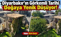 Diyarbakır'ın Görkemli Tarihi Doğaya Yenik Düşüyor!