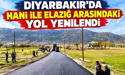 Diyarbakır’da Hani ile Elazığ Arasındaki Bağlantı Yolu Yenilendi