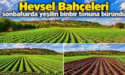 Hevsel Bahçeleri sonbaharda yeşilin binbir tonuna büründü