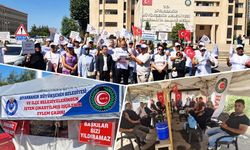 Hizmet-İş’ten Serra Bucak’a tepki: “Önce işten çıkardığınız emekçileri görün”