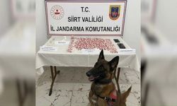 Siirt’te Otobüs Durduruldu: Çantadan Binlerce Uyuşturucu Hap Çıktı