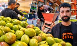 Diyarbakır’da Yeşil Zeytin Sezonu Başladı: Kilosu 180 TL!