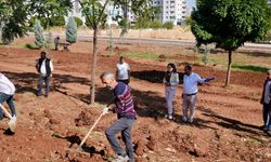 Bağlar’da Ahmed Arif Parkı’nda Sona Doğru