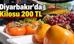 Diyarbakır’da Kilosu 200 TL’den Satılıyor
