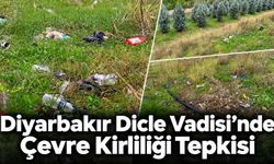 Diyarbakır Dicle Vadisi’nde Çevre Kirliliği Tepkisi