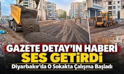 Diyarbakır’da O Sokakta Çalışma Başladı