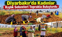 Diyarbakır’da Kadınlar Kışlık Sebzeleri Toprakla Buluşturdu