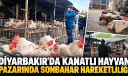 Diyarbakır’da Kanatlı Hayvan Pazarında Sonbahar Hareketliliği