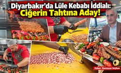 Diyarbakır’da Lüle Kebabı İddialı: Ciğerin Tahtına Aday!