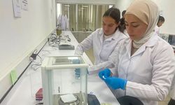 Melanom Tedavisi İçin 3 Boyutlu Mikroiğne Yama Geliştirildi