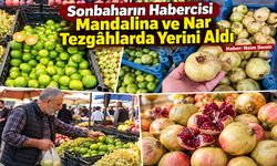 Sonbaharın Habercisi Mandalina ve Nar Tezgâhlarda Yerini Aldı