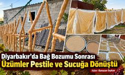 Diyarbakır’da Bağ Bozumu Sonrası üzümler pestile ve sucuğa dönüştü