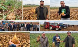 Diyarbakır’da şeker pancarında hasat başladı: Çiftçinin gözü fiyatta