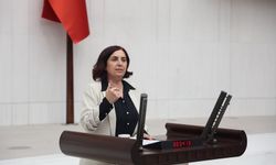 Diyarbakır’da Sağlık Sorunları Meclis Gündeminde