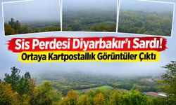 Sis Perdesi Diyarbakır’ı Sardı! Ortaya Kartpostallık Görüntüler Çıktı