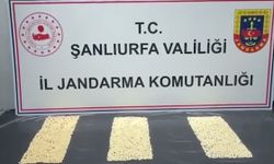 Şanlıurfa’da Uyuşturucu Operasyonu: 2 Şüpheli Gözaltında