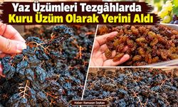 Yaz Üzümleri Tezgâhlarda Kuru Üzüm Olarak Yerini Aldı