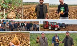 Diyarbakır’da şeker pancarında hasat başladı: Çiftçinin gözü fiyatta