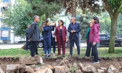 Kayapınar’da Üç Park İçin Yenileme Seferberliği