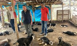 Kulplu Çiftçi’ye Kahramanmaraşlı hayırseverden destek