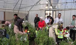 Özel öğrenciler okul bahçesinde yetiştirilen sebzeleri hasat etti