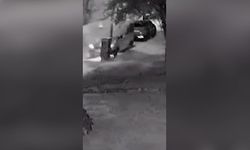 Park halindeki hafif ticari araç yandı