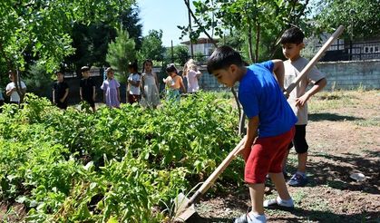 Anaokulu öğrencileri bahçede yetiştirdikleri patatesleri hasat etti