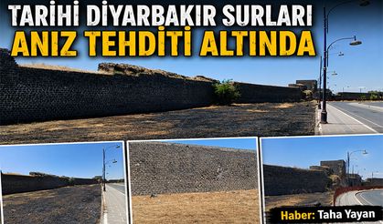 Tarihi Diyarbakır Surları Anız Tehditi Altında