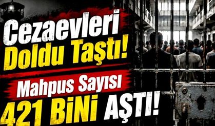HEGEM uyarmıştı: Yılın ilk yarısında suç oranları tırmandı