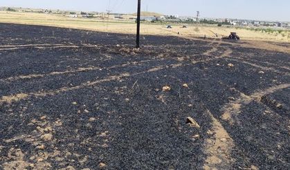 Mardin'de buğday ekili alanda çıkan yangın söndürüldü