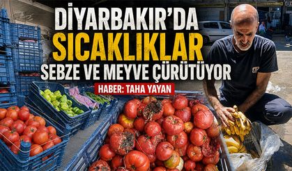 Diyarbakır'da Sıcaklıklar Sebze ve Meyve Çürütüyor