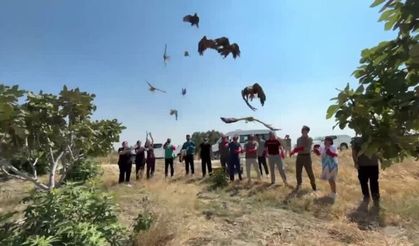 Hatay'da Umuda Kanat Çırptılar: 18 Yaban Kuşu Doğaya Salındı