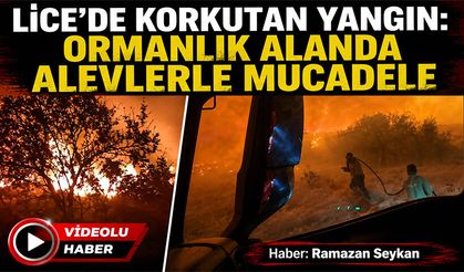 Lice'de Korkutan Yangın: Ormanlık Alanda Alevlerle Mücadele