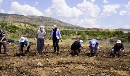 Kulp’ta kadınlar bostan için toprağa emek verdi