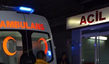 Diyarbakır'da otomobilin kaldırımda çarptığı anne ve 2 çocuğu yaralandı