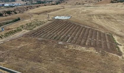 Bingöl’de taşlık arazi akıllı bahçeye dönüştürülüyor