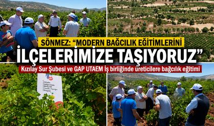 Diyarbakır’da Bağcılık Eğitimleri İlçelere Taşınıyor