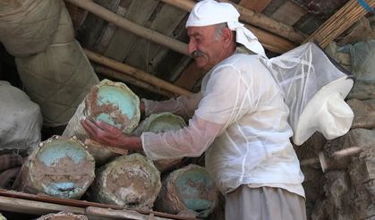 51 yıllık arıcılık emeği: 180 kovanla 6 çocuğunu okuttu