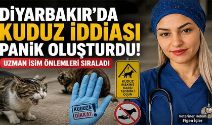 Diyarbakır'da Kuduz Endişesi: Uzmandan Kediler İçin Kritik Uyarı