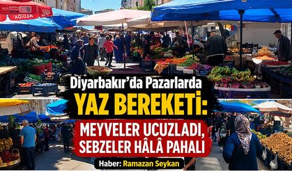 Pazarlarda Yaz Bereketi devam ediyor : Meyveler Ucuzladı, Sebzeler Hâlâ Pahalı