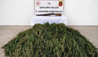 Şanlıurfa'da uyuşturucu operasyonunda 1 şüpheli yakalandı