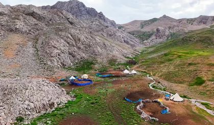 3 bin metre rakımda üretiyorlar: Bu peynirin lezzeti yayladan geliyor