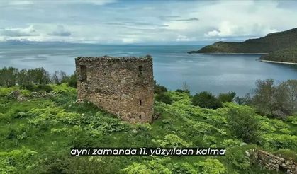 Van Gölü kıyısındaki Deveboynu Yarımadası milli park ilan edildi