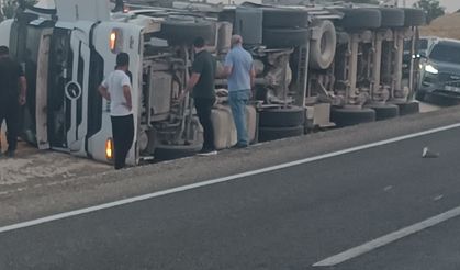 İneğe Çarpmamak İçin Manevra Yapan Mısır Yüklü Tır Yan Yattı