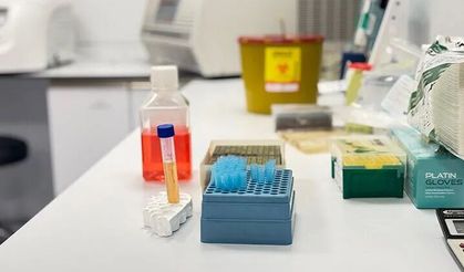 Uzmanından "Haftalar içerisinde küçülmeyen lenf bezi büyümelerine dikkat" uyarısı