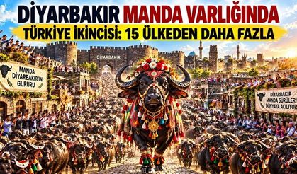 Diyarbakır, Manda Sayısıyla 15 Devletten Daha Büyük