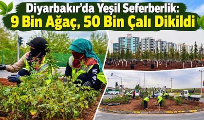 Diyarbakır’da Yeşil Seferberlik: 9 bin ağaç, 50 bin çalı dikildi