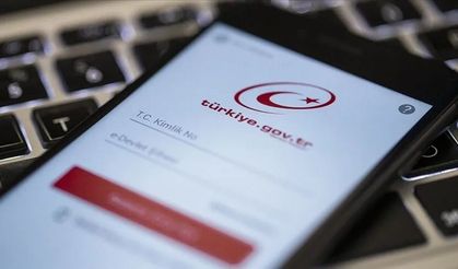 e-Devlet’te PHP2Shell Alarmı: Güvenlik Kontrollerinde Sorun Çıkmadı